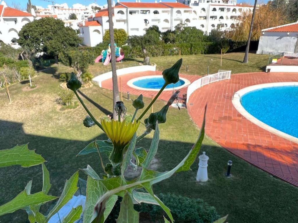Appartement Painel De Albufeira Extérieur photo